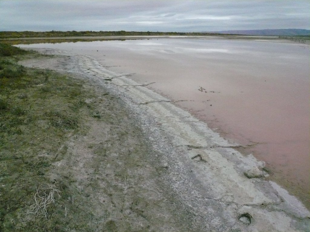 Former salt ponds in Alviso at the southern edge of San Francisco Bay