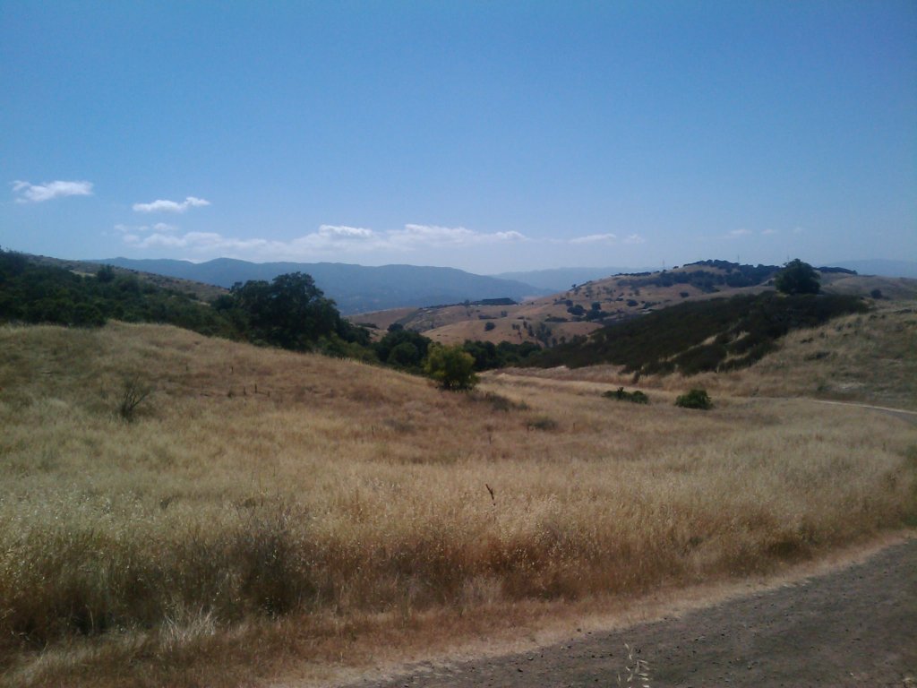 Golden grassland hills under a blue sky in south San Jose near the IBM Almaden Research Center