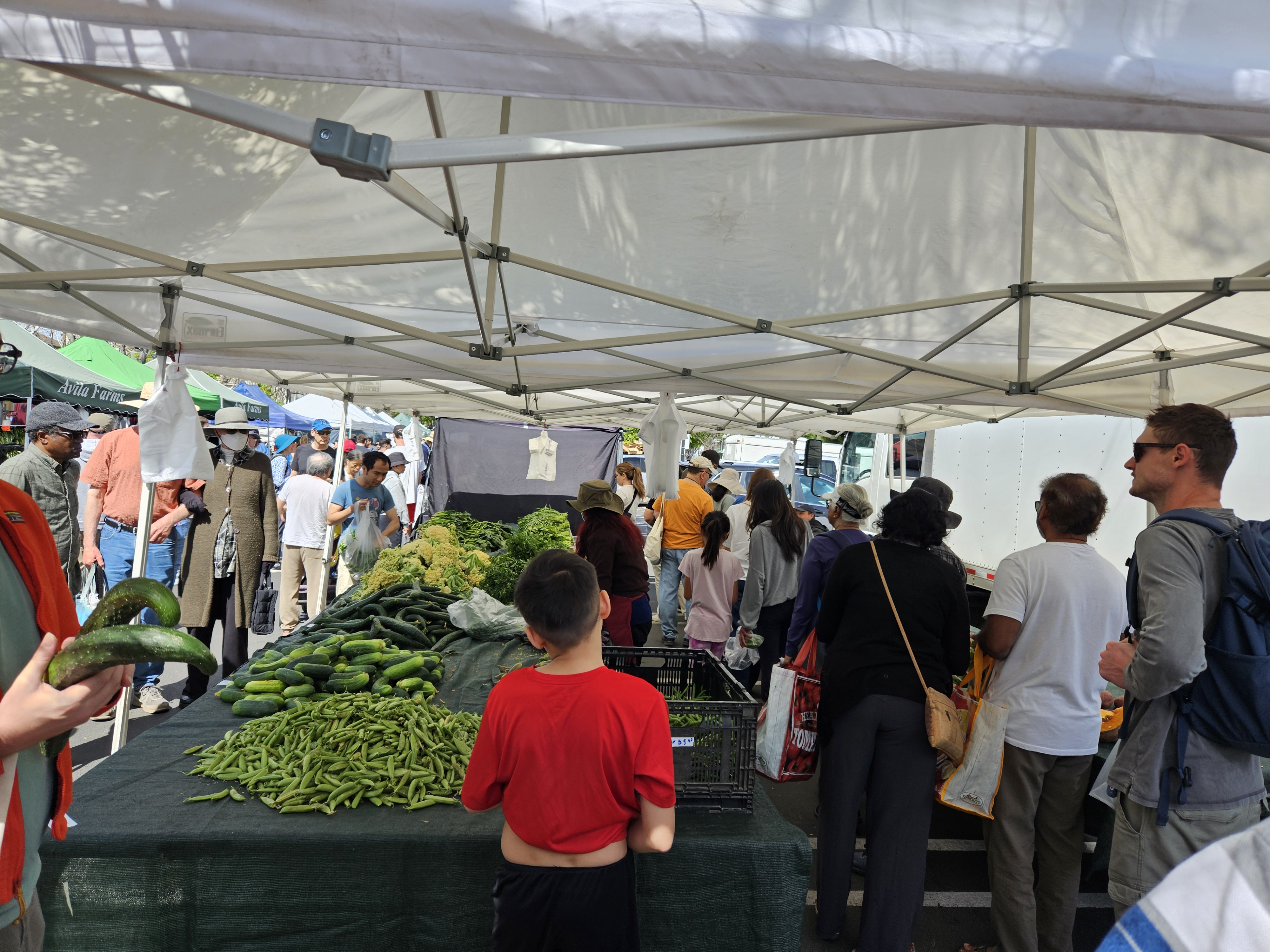 Your fall and winter guide to Santa Clara County’s farmers’&nbsp;markets